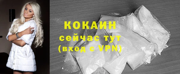 индика Баксан