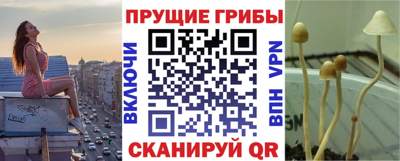 Галлюциногенные грибы ЛСД  mega tor  Кувандык 